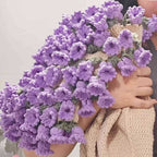 Rosenbouquet-Decke